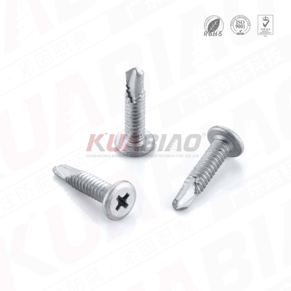 威華頭十字鉆尾，規格：4.8-24x22